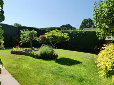 Picture 20